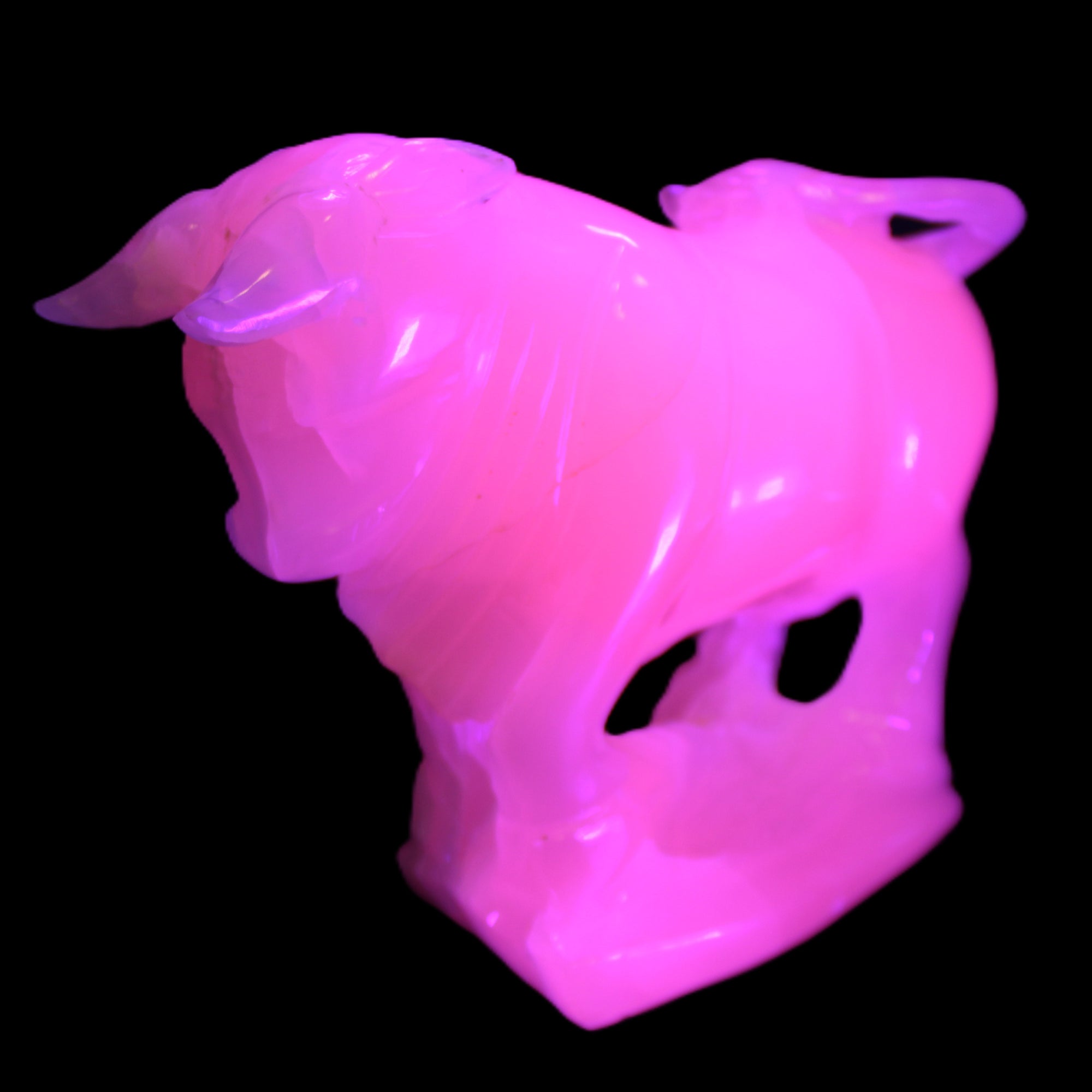 Pink Mangano Calcite Bull 240*85*78mm 3110g in UV light  - Rocks and Things Store
