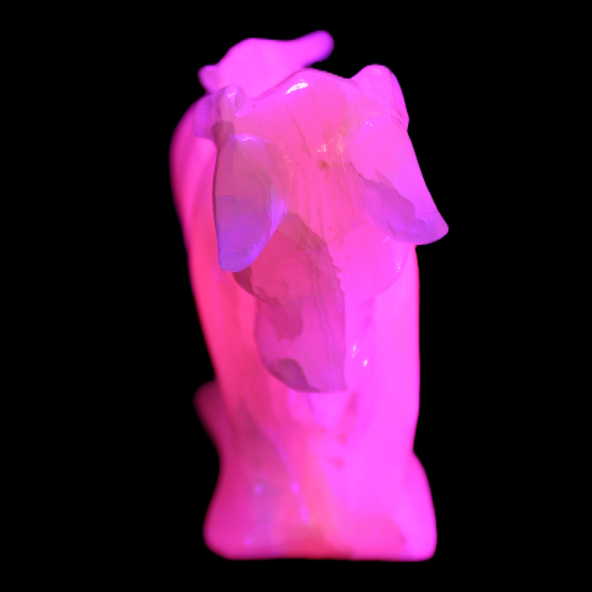 Pink Mangano Calcite Bull 240*85*78mm 3110g in UV light  - Rocks and Things Store