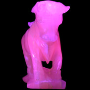 Pink Mangano Calcite Bull 240*85*78mm 3110g in UV light  - Rocks and Things Store