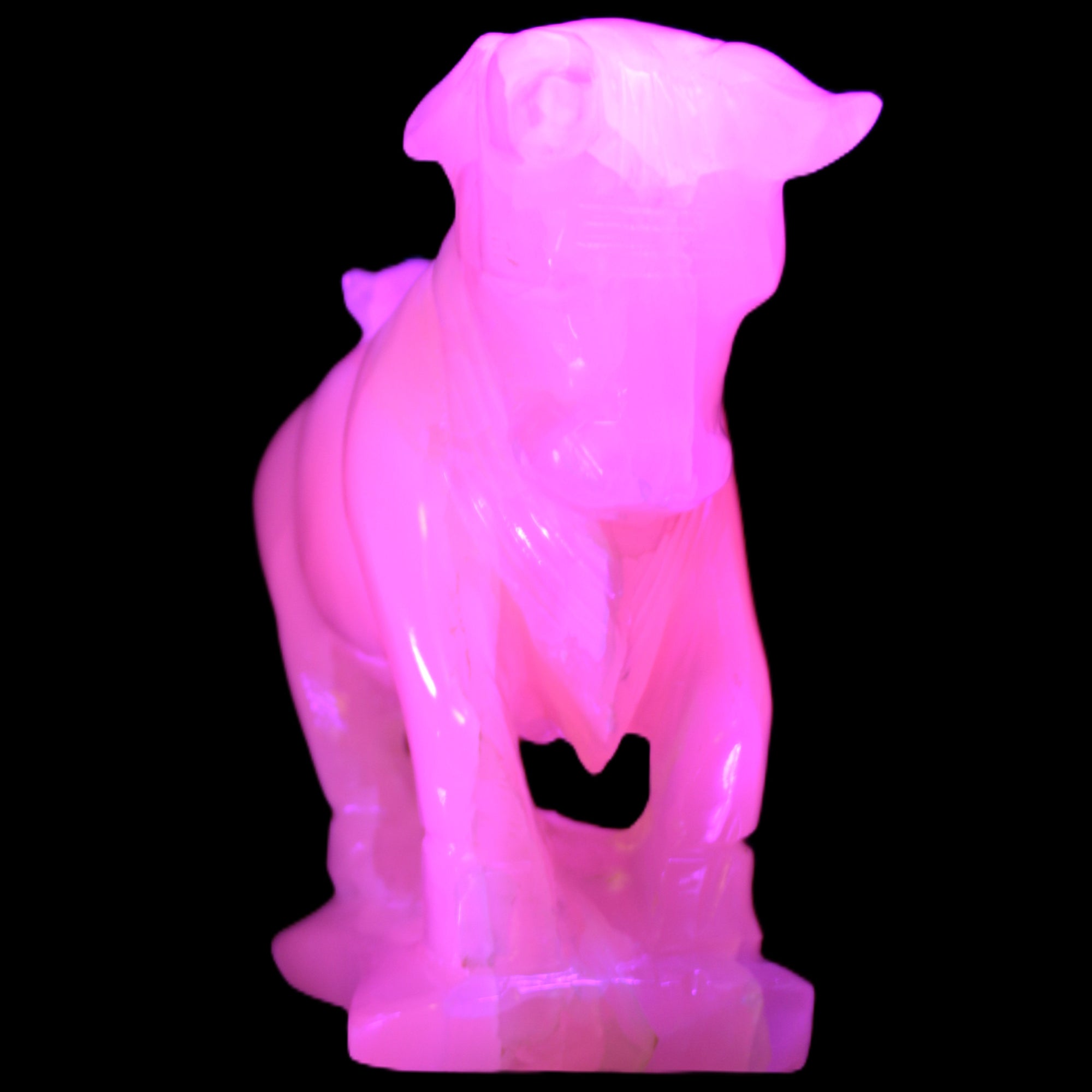 Pink Mangano Calcite Bull 240*85*78mm 3110g in UV light  - Rocks and Things Store