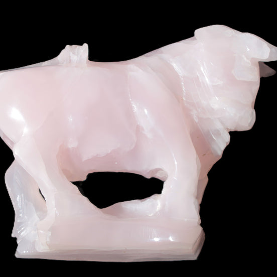 Pink Mangano Calcite Bull 240*85*78mm 3110g in sunlight - Rocks and Things Store