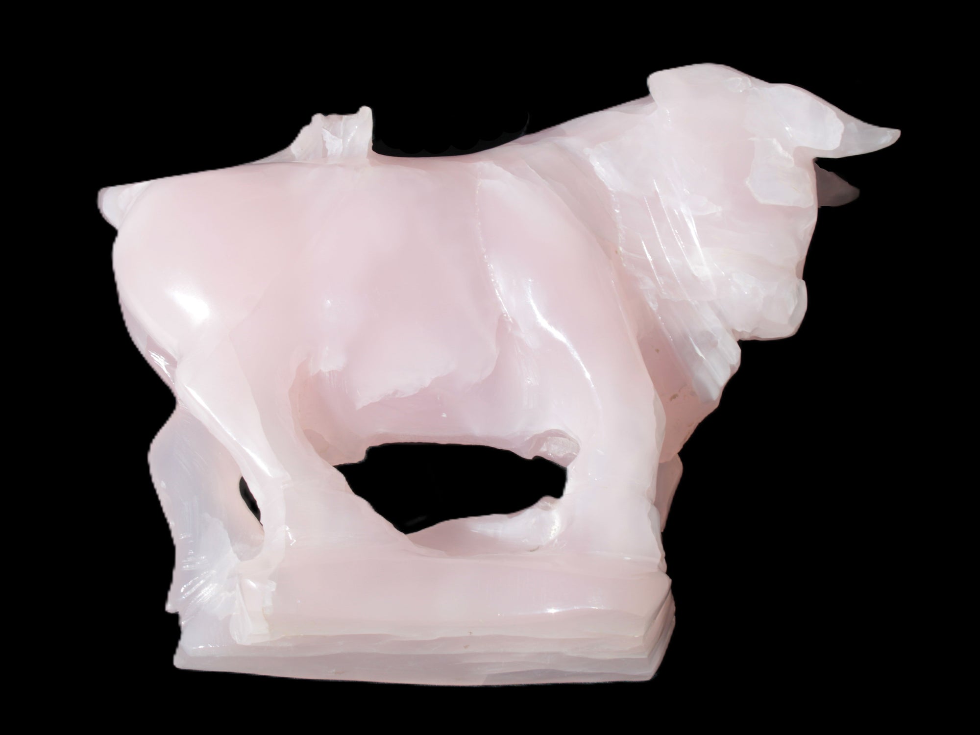Mangano Calcite Bull 240*85*78mm 3110g Rocks and Things Store