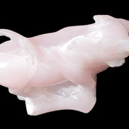 Mangano Calcite Bull 240*85*78mm 3110g Rocks and Things Store