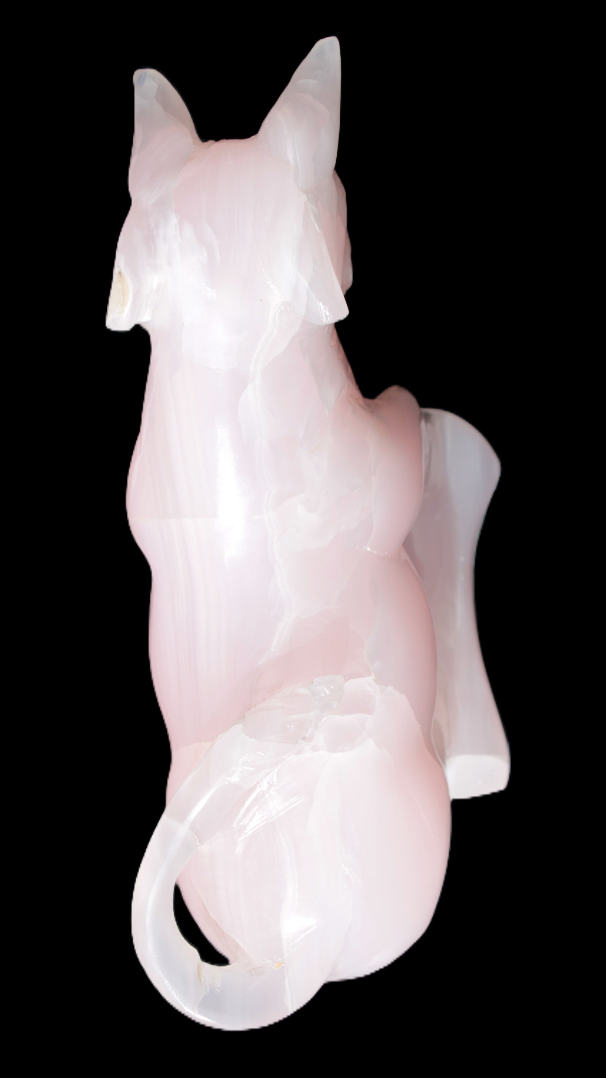 Mangano Calcite Bull 240*85*78mm 3110g Rocks and Things Store