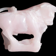 Mangano Calcite Bull 240*85*78mm 3110g Rocks and Things Store
