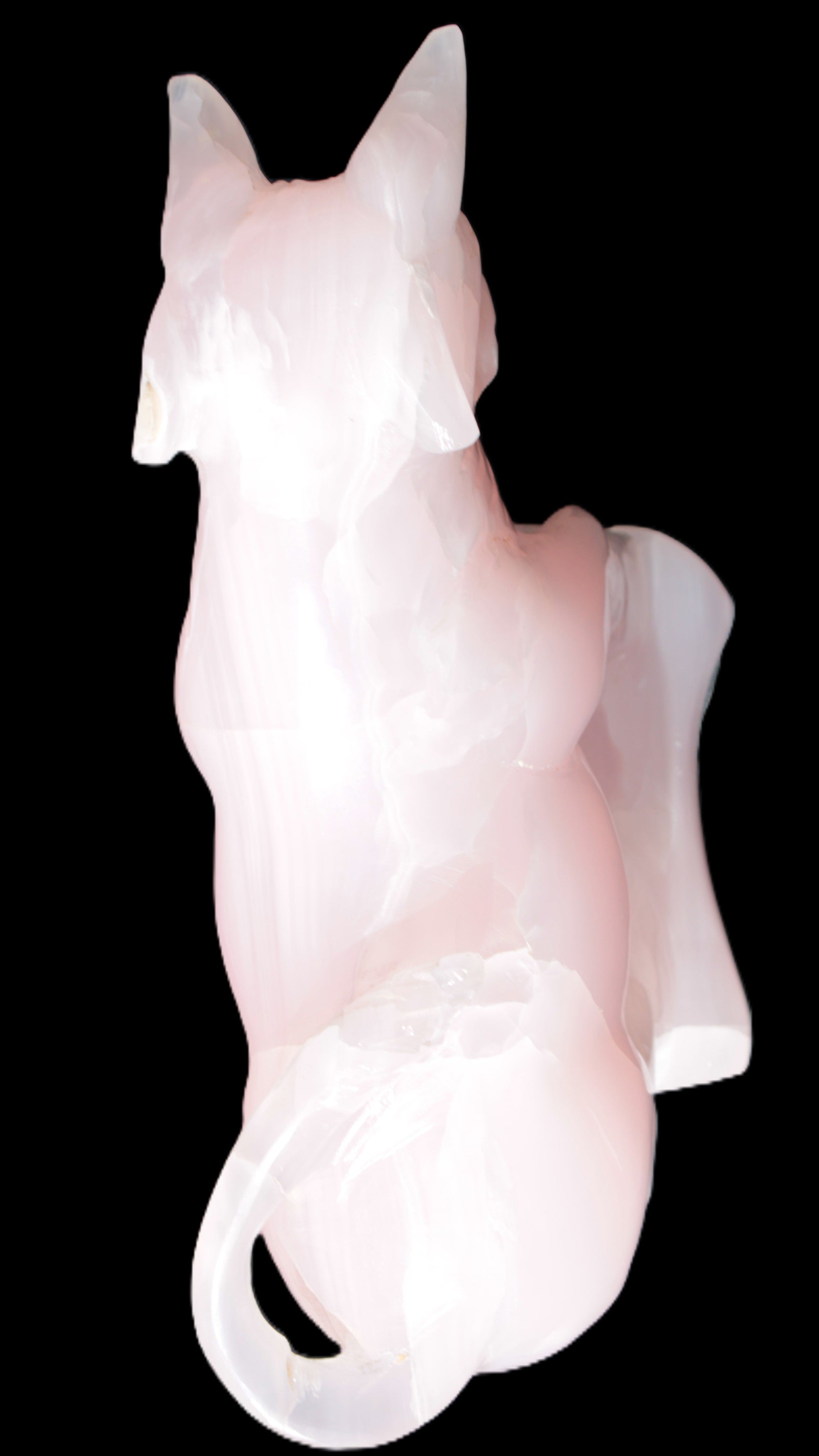 Mangano Calcite Bull 240*85*78mm 3110g Rocks and Things Store