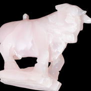 Mangano Calcite Bull 240*85*78mm 3110g Rocks and Things Store