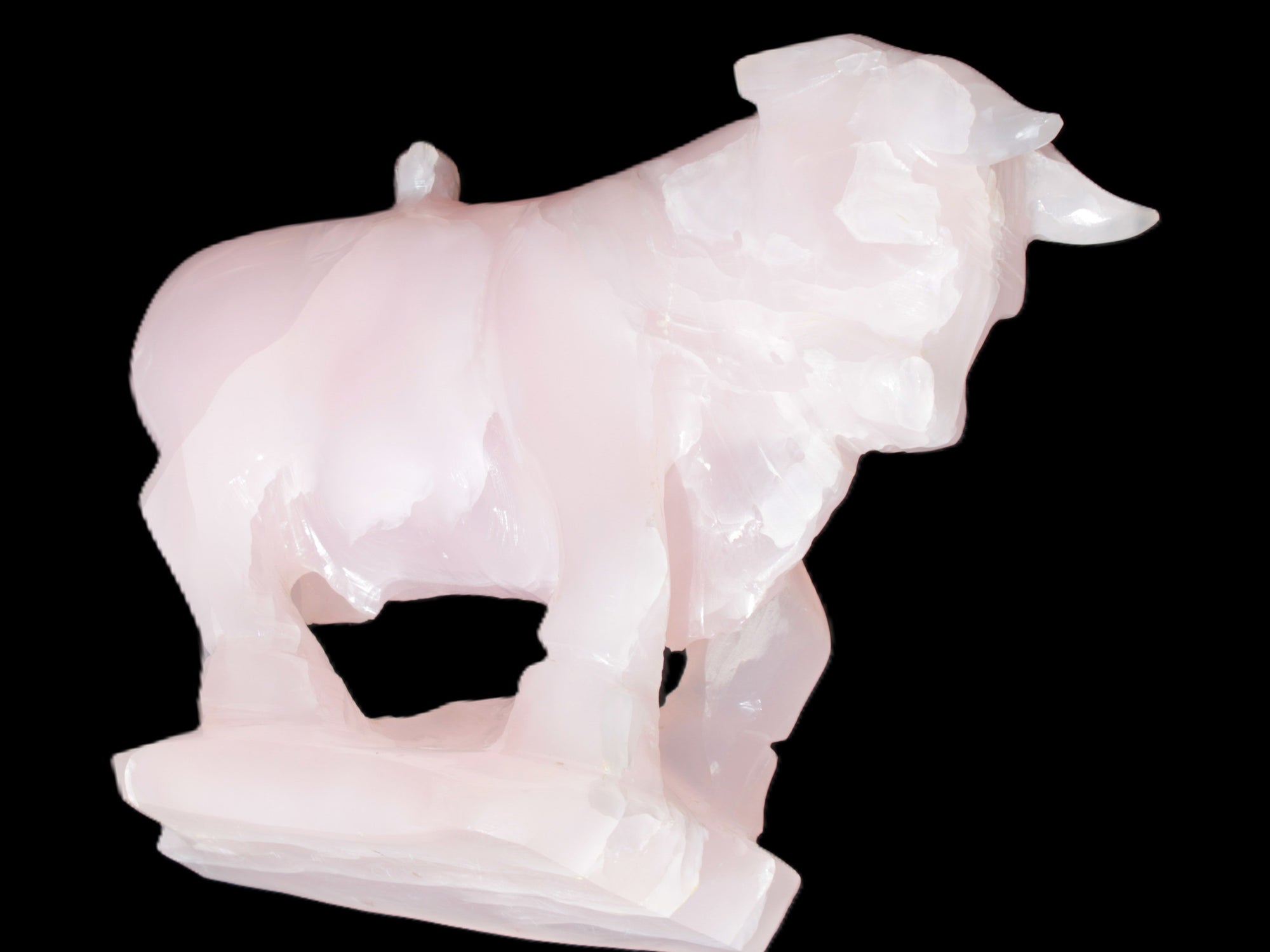 Mangano Calcite Bull 240*85*78mm 3110g Rocks and Things Store