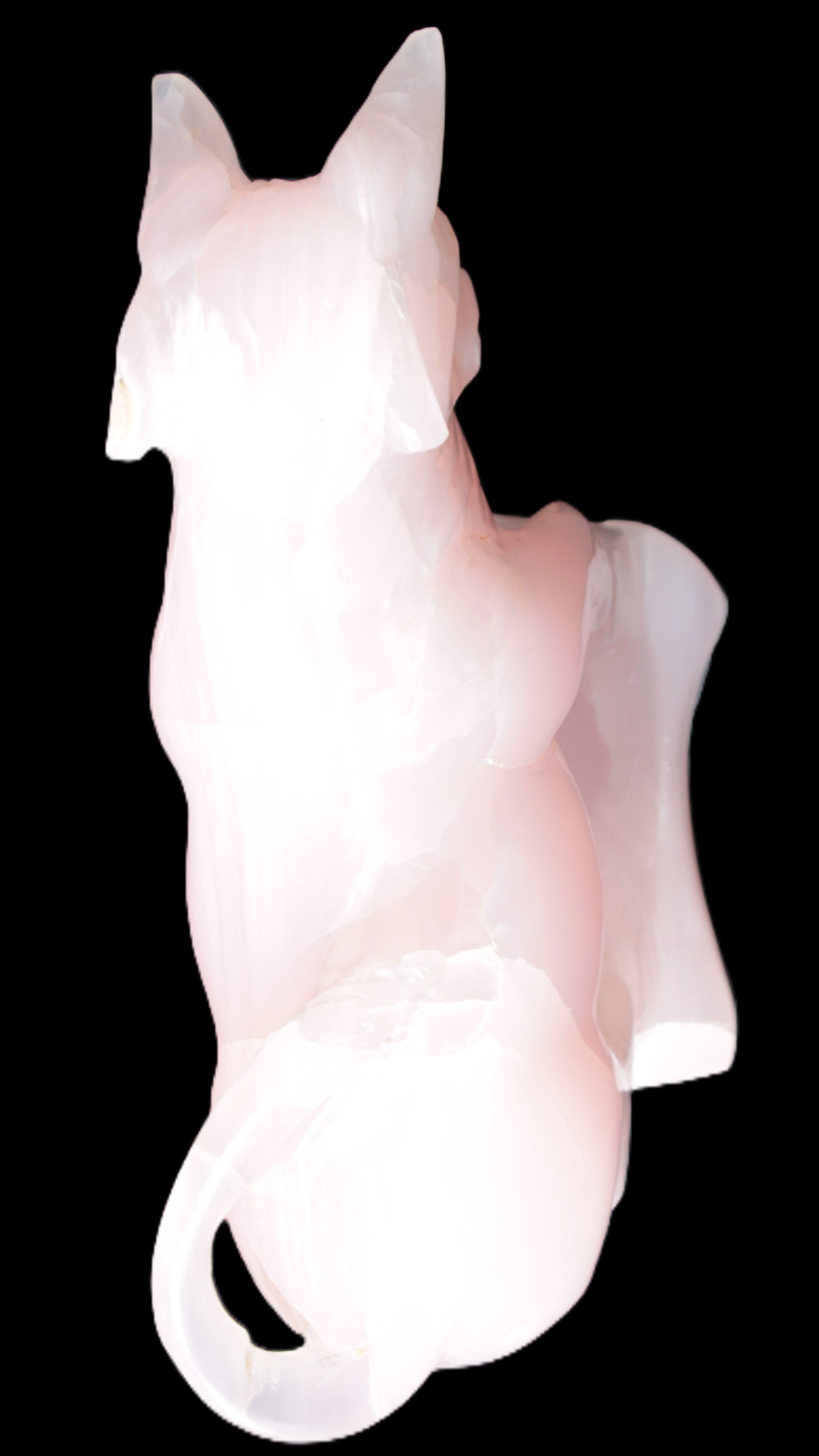 Mangano Calcite Bull 240*85*78mm 3110g Rocks and Things Store