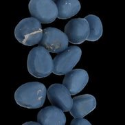 Angelite 20 tumbled stones 24-28mm 300g in sunlight - Rocks and Things Store