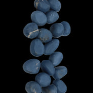 Angelite 20 tumbled stones 24-28mm 300g in sunlight - Rocks and Things Store