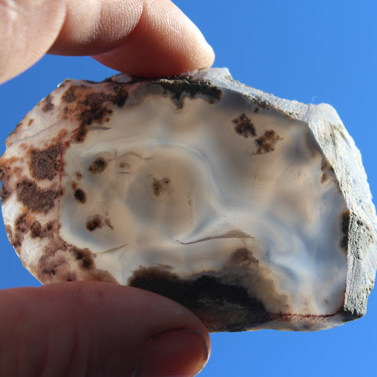 Agate geode slice 59g Rocks and Things