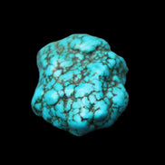Persian Turquoise 38*26*16mm 25.0g in sunlight - Rocks and Things Store