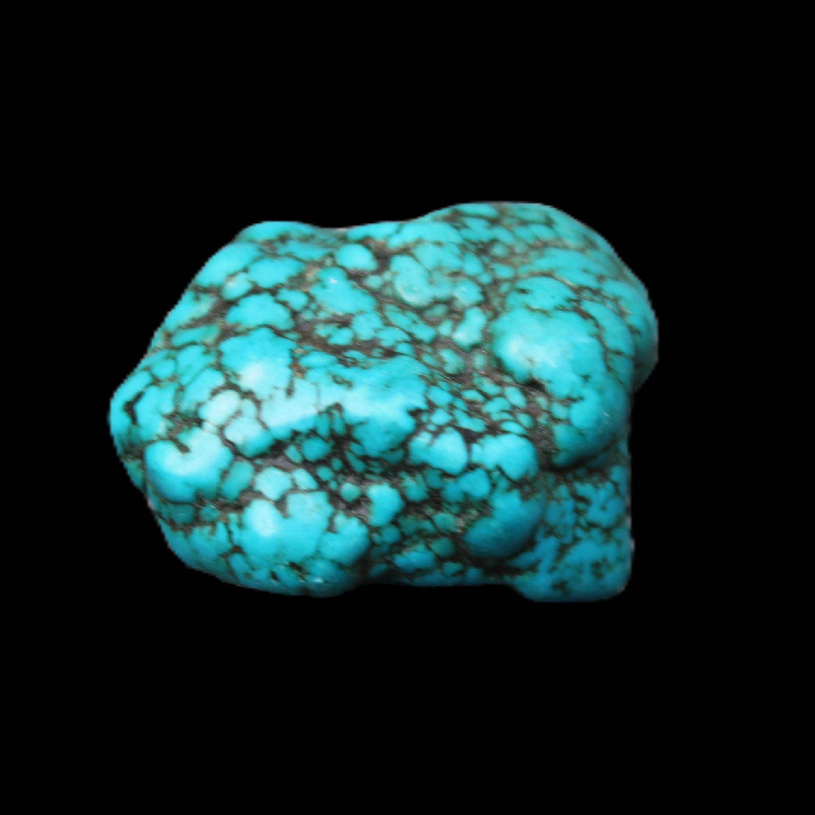 Persian Turquoise 38*26*16mm 25.0g in sunlight - Rocks and Things Store