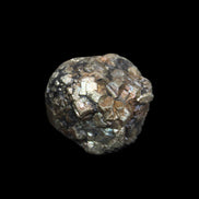 Chalcopyrite cluster from Pakistan 28-38mm 50-58g in sunlight - Rocks and Things Store