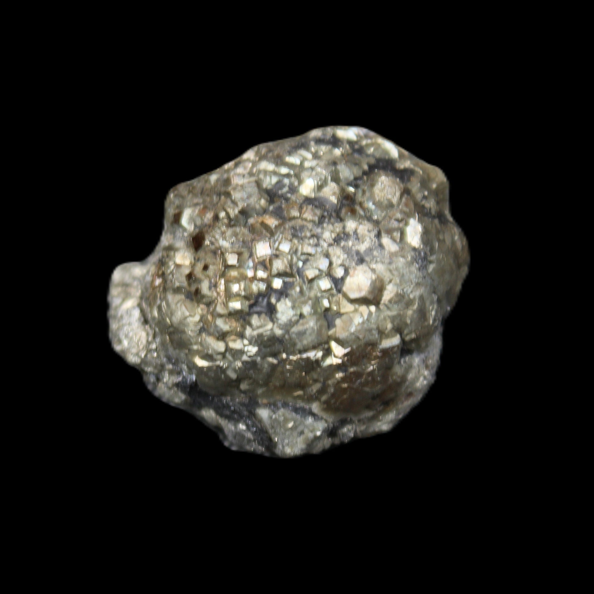 Chalcopyrite cluster from Pakistan 35-40mm 60-67g in sunlight - Rocks and Things Store