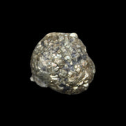 Chalcopyrite cluster from Pakistan 35-40mm 60-67g in sunlight - Rocks and Things Store