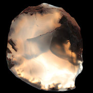 Agate geode slice 101g from Pakistan - Rocks and Things Store