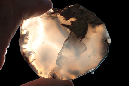 Agate geode slice 101g Rocks and Things