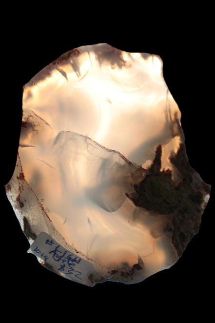 Agate geode slice 101g from Pakistan - Rocks and Things Store