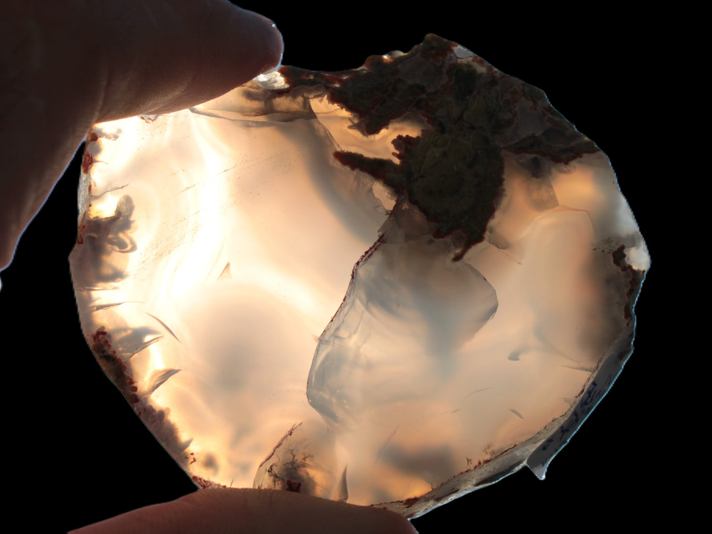 Agate geode slice 101g Rocks and Things