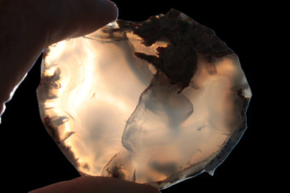 Agate geode slice 101g Rocks and Things