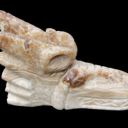 Chocolate Calcite dragon head 40*72*118mm 461g in sunlight - Rocks and Things Store