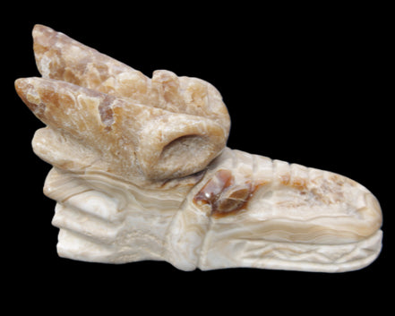 Chocolate Calcite dragon head 40*72*118mm 461g in sunlight - Rocks and Things Store