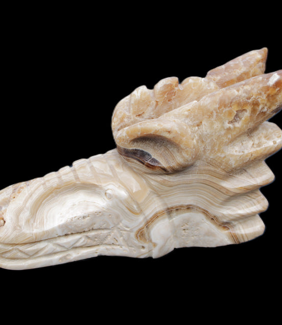 Chocolate Calcite dragon head 40*72*118mm 461g in sunlight - Rocks and Things Store