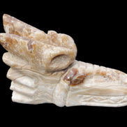 Chocolate Calcite dragon head 40*72*118mm 461g in sunlight - Rocks and Things Store