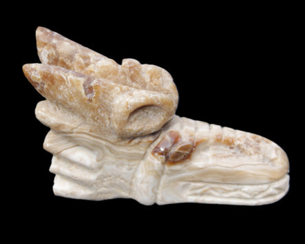 Chocolate Calcite dragon head 40*72*118mm 461g in sunlight - Rocks and Things Store