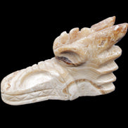 Chocolate Calcite dragon head 40*72*118mm 461g in sunlight - Rocks and Things Store