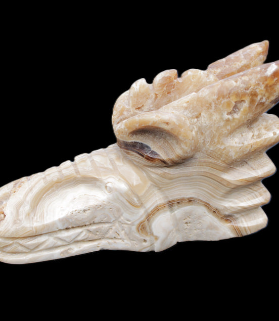 Chocolate Calcite dragon head 40*72*118mm 461g in sunlight - Rocks and Things Store