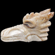 Chocolate Calcite dragon head 40*72*118mm 461g in sunlight - Rocks and Things Store