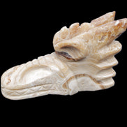 Chocolate Calcite dragon head 40*72*118mm 461g in sunlight - Rocks and Things Store