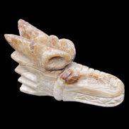 Chocolate Calcite dragon head 40*72*118mm 461g in sunlight - Rocks and Things Store