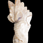 Chocolate Calcite dragon head 40*72*118mm 461g in sunlight - Rocks and Things Store