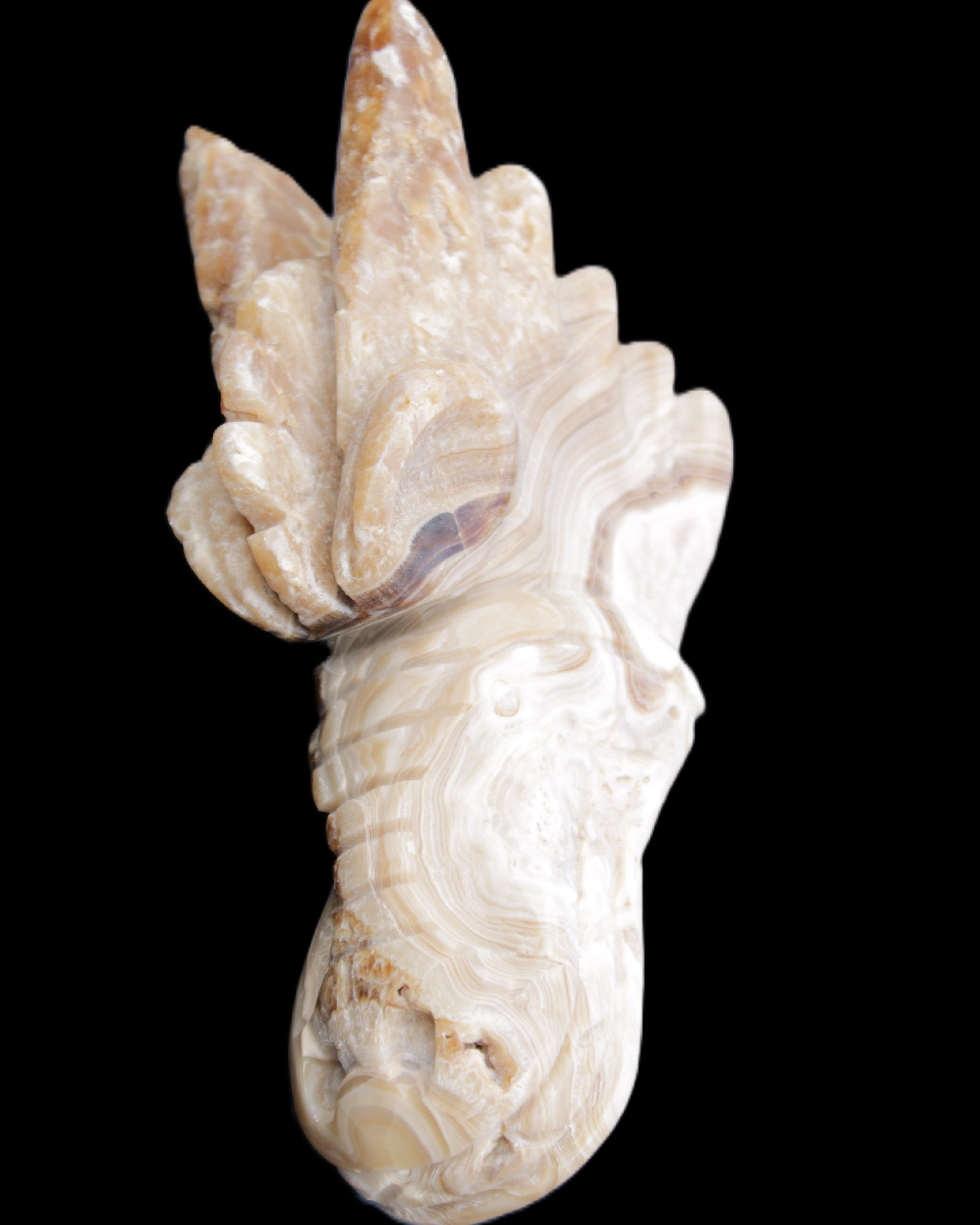 Chocolate Calcite dragon head 40*72*118mm 461g in sunlight - Rocks and Things Store