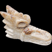 Chocolate Calcite dragon head 40*72*118mm 461g in sunlight - Rocks and Things Store