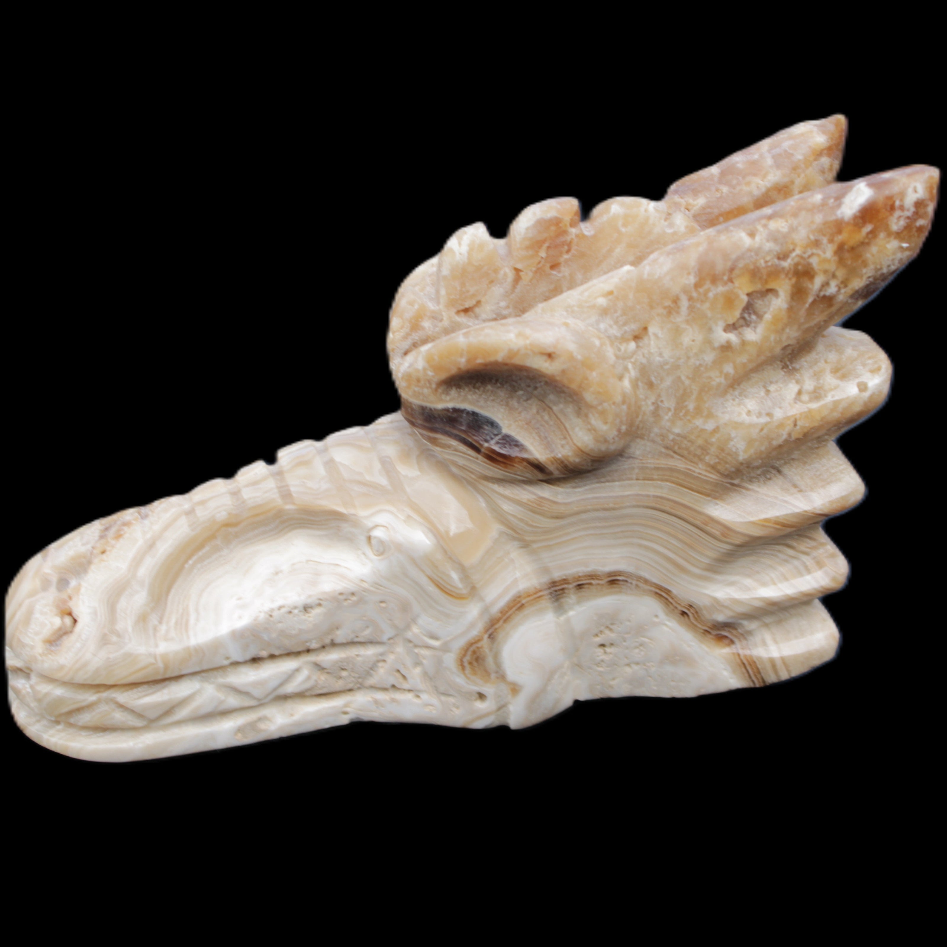 Chocolate Calcite dragon head 40*72*118mm 461g in sunlight - Rocks and Things Store