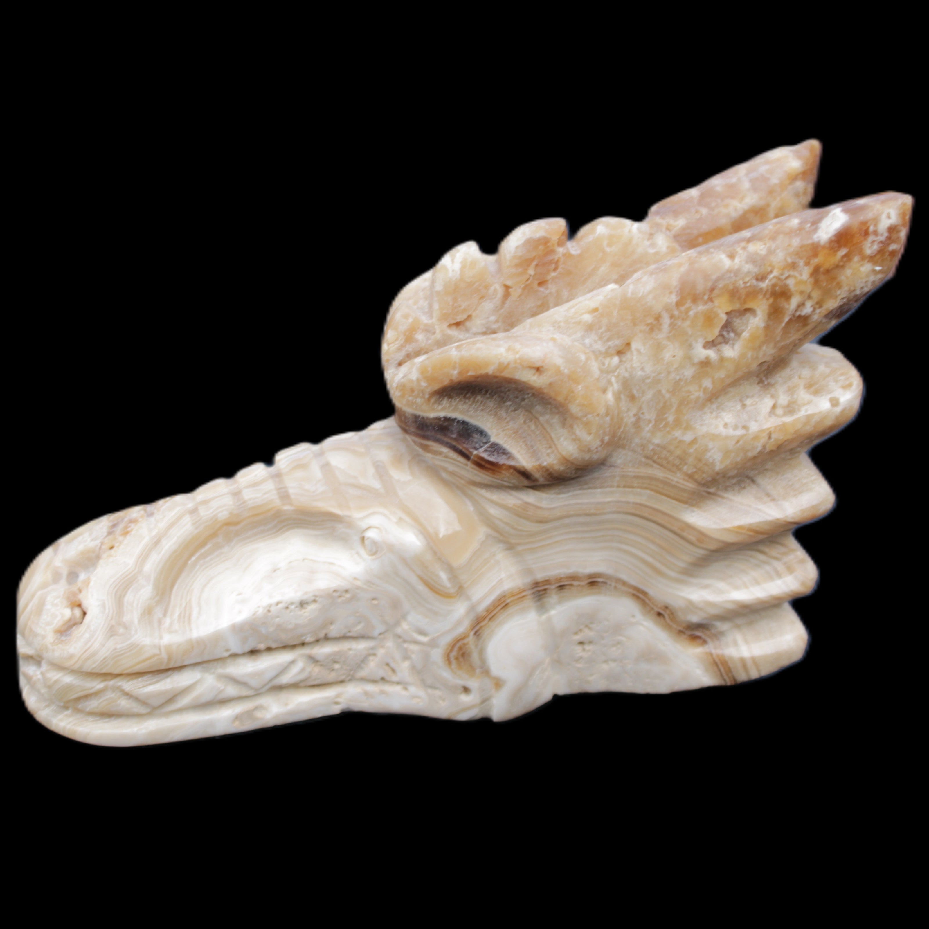 Chocolate Calcite dragon head 40*72*118mm 461g in sunlight - Rocks and Things Store