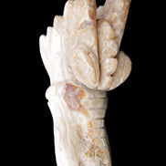 Chocolate Calcite dragon head 40*72*118mm 461g in sunlight - Rocks and Things Store