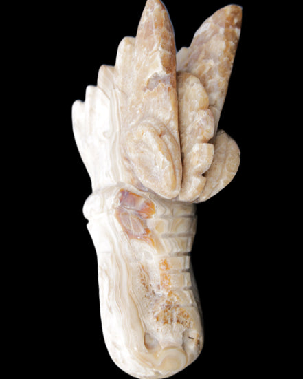 Chocolate Calcite dragon head 40*72*118mm 461g in sunlight - Rocks and Things Store