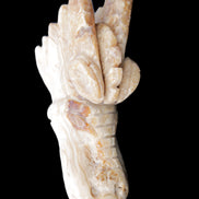 Chocolate Calcite dragon head 40*72*118mm 461g in sunlight - Rocks and Things Store