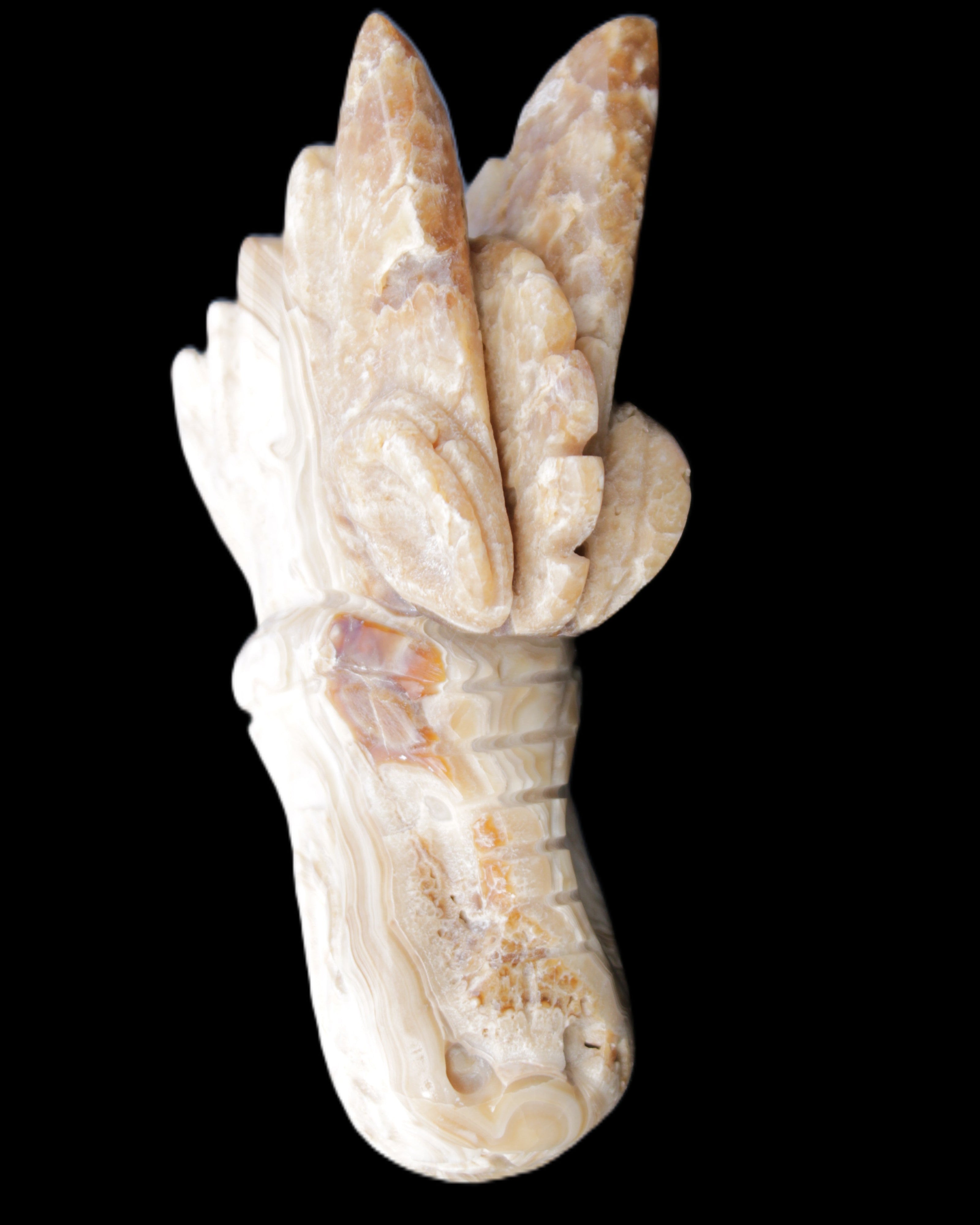 Chocolate Calcite dragon head 40*72*118mm 461g in sunlight - Rocks and Things Store