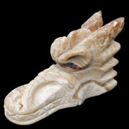 Chocolate Calcite dragon head 40*72*118mm 461g in sunlight - Rocks and Things Store