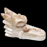 Chocolate Calcite dragon head 40*72*118mm 461g in sunlight - Rocks and Things Store