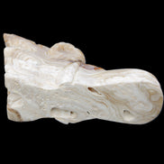 Chocolate Calcite dragon head 40*72*118mm 461g in sunlight - Rocks and Things Store