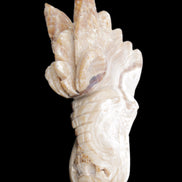 Chocolate Calcite dragon head 40*72*118mm 461g in sunlight - Rocks and Things Store