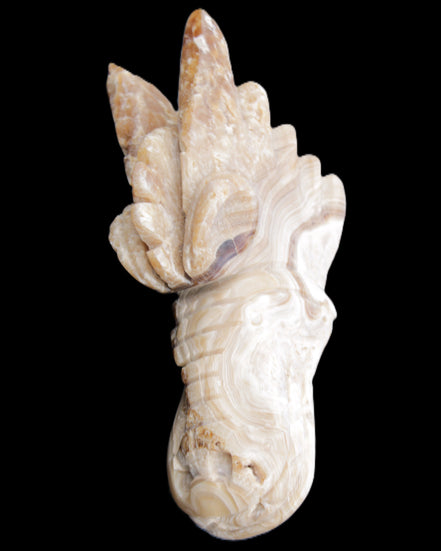 Chocolate Calcite dragon head 40*72*118mm 461g in sunlight - Rocks and Things Store